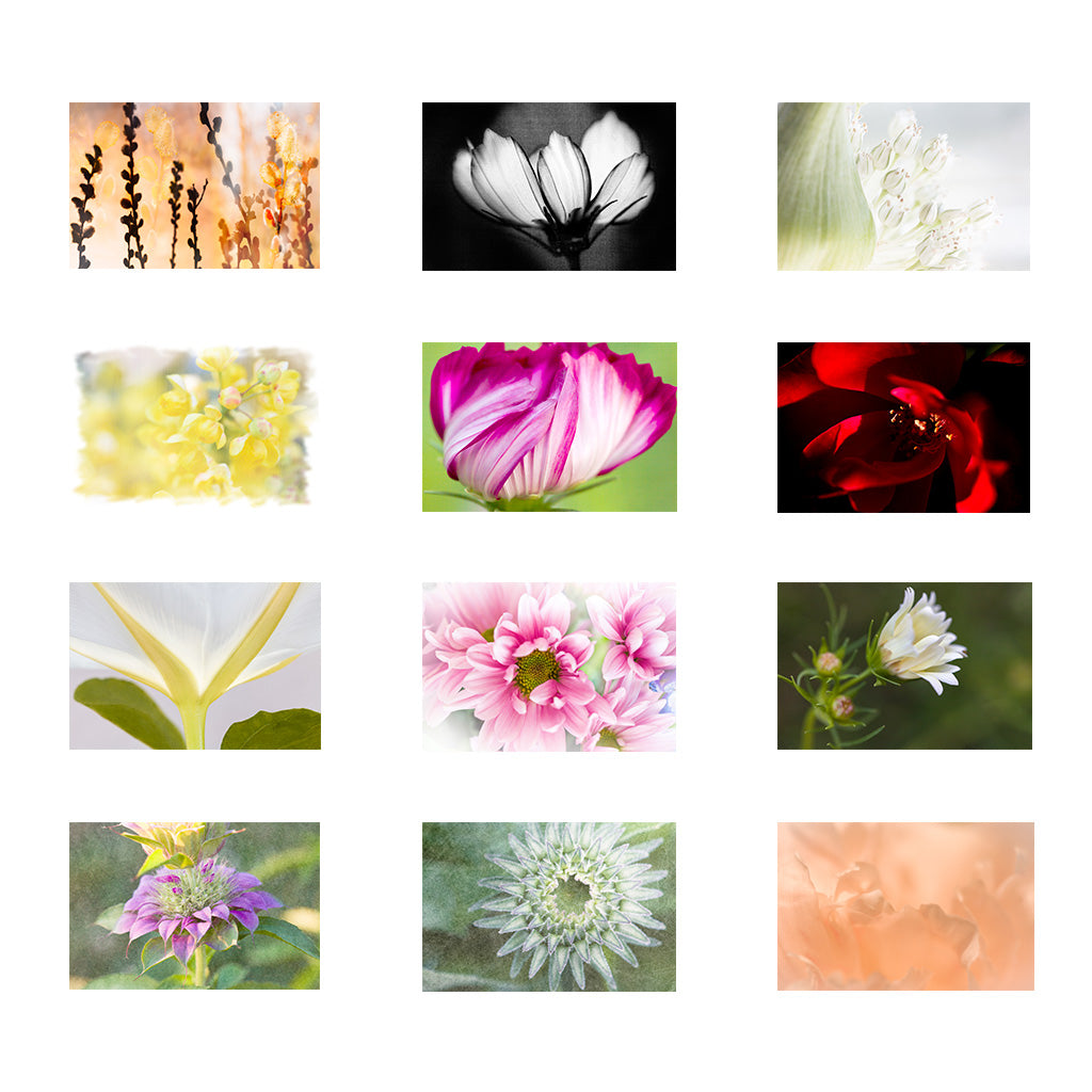 Floral Dreams Wall Ledger Calendar 2026 (US & CANADA)