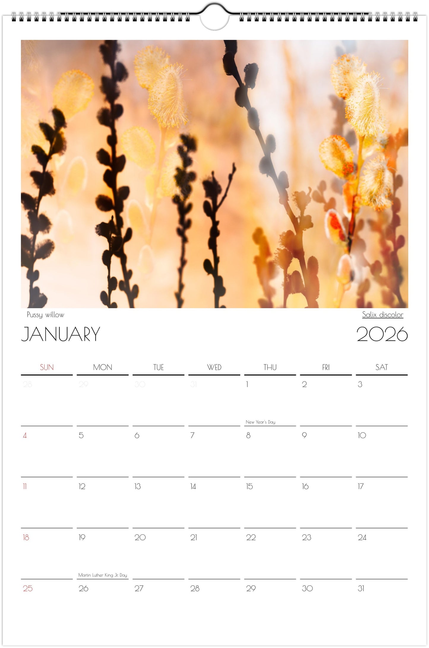 Floral Dreams Ledger Wall Calendars 2026