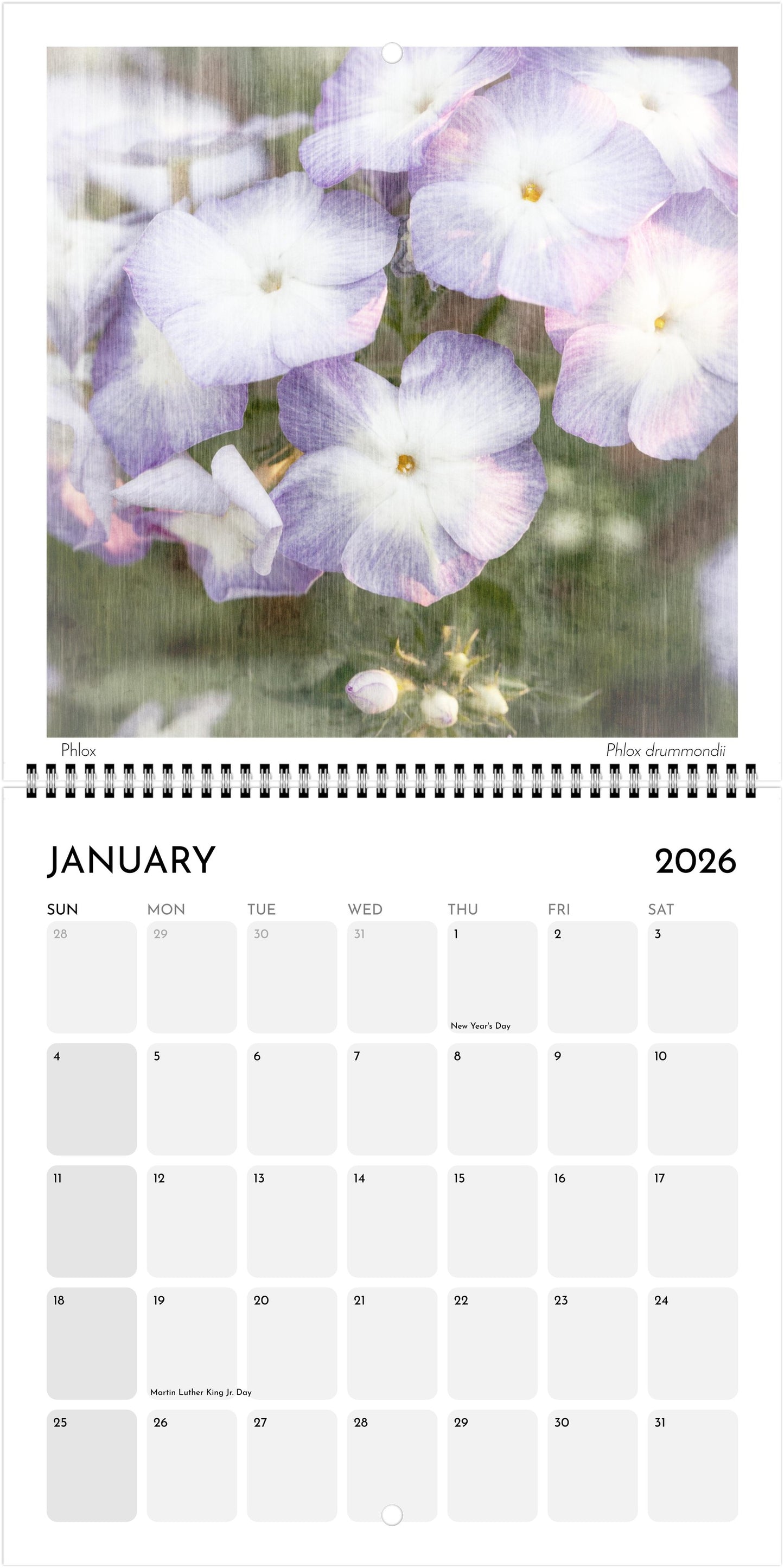 Floral Souls Square Wall Calendar 2026