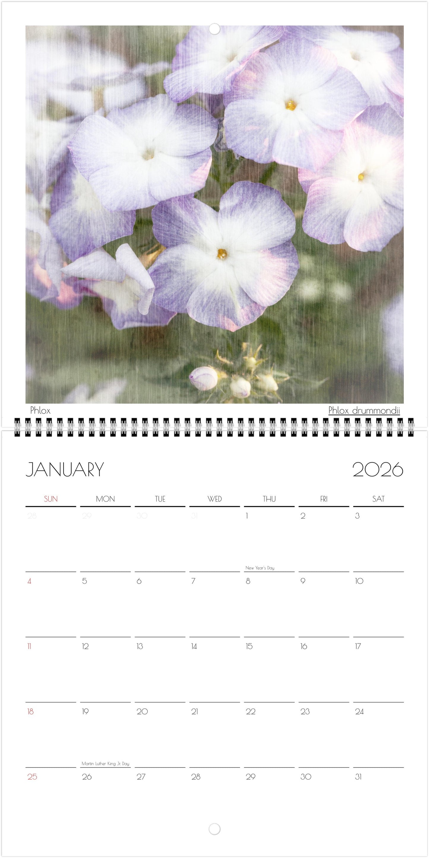 Floral Souls Square Wall Calendar 2026