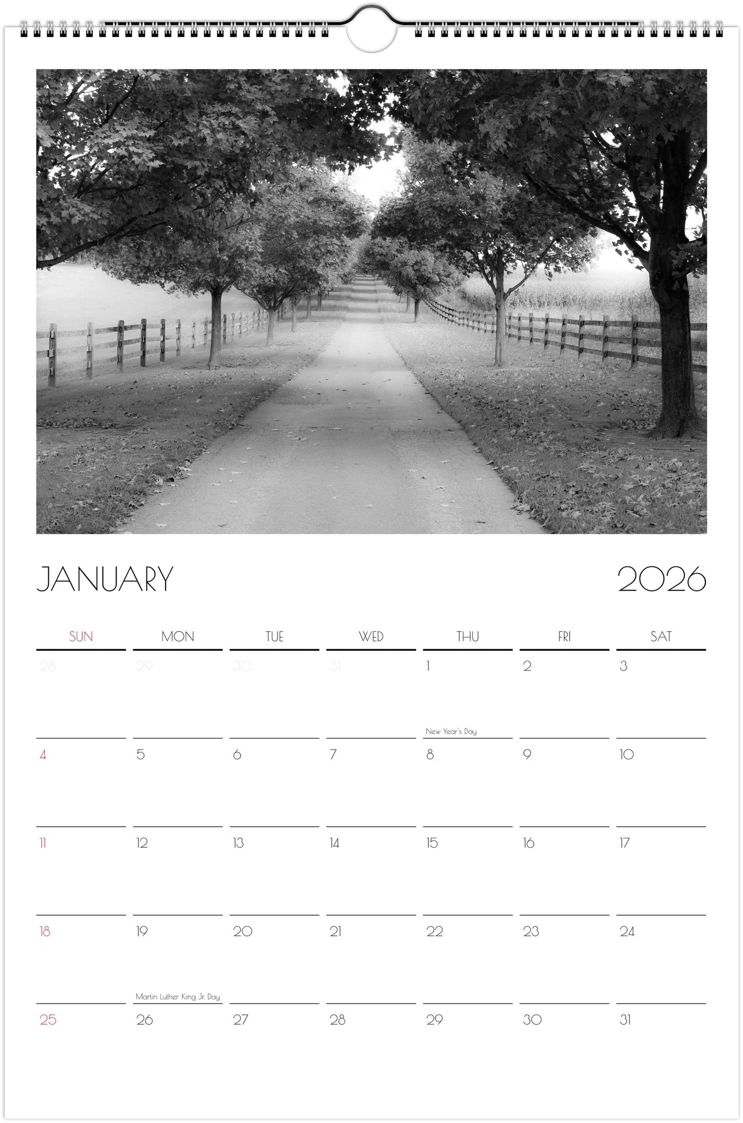 Forest Dreams Ledger Wall Calendar 2026