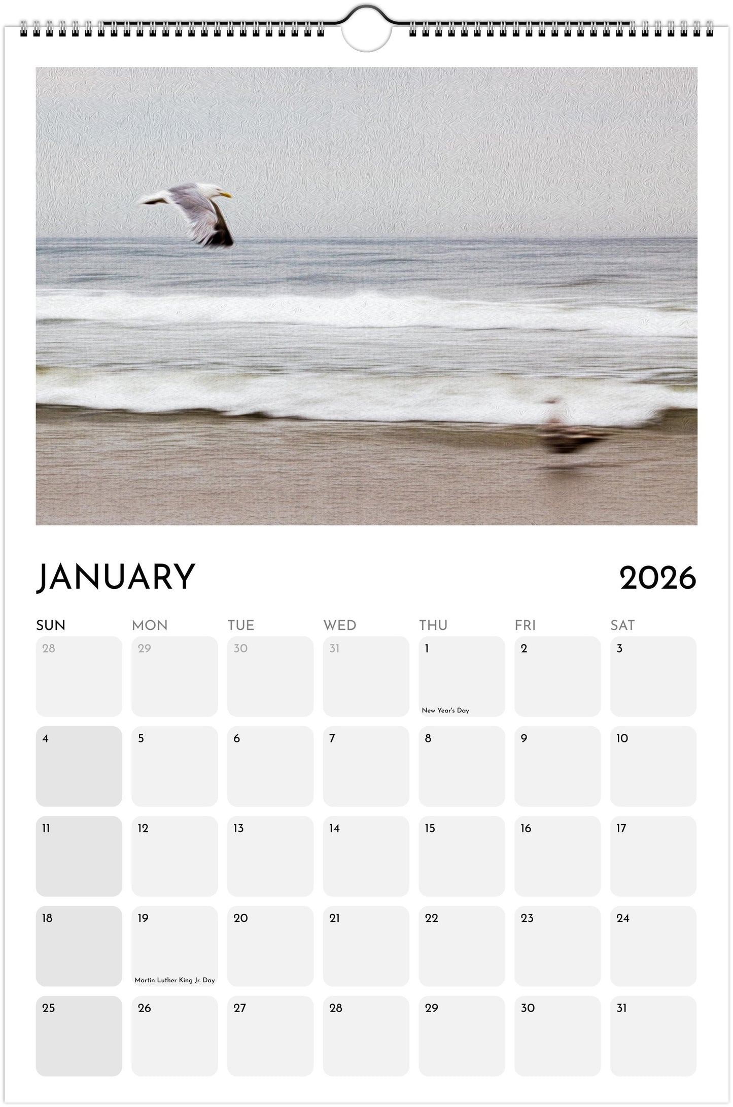Ocean Dreams Ledger Wall Calendar 2026