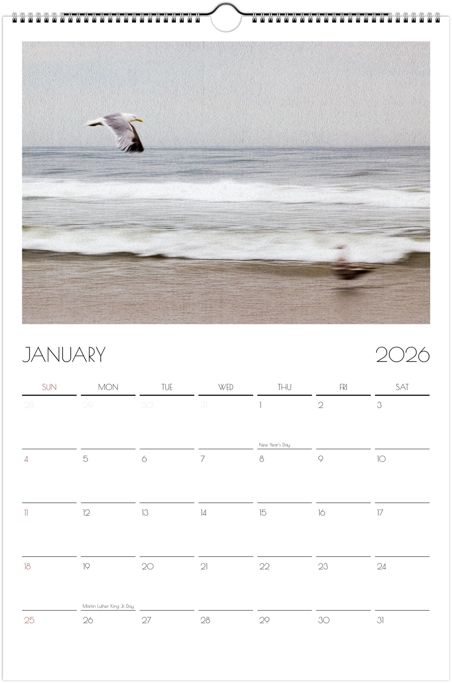 Ocean Dreams Ledger Wall Calendar 2026