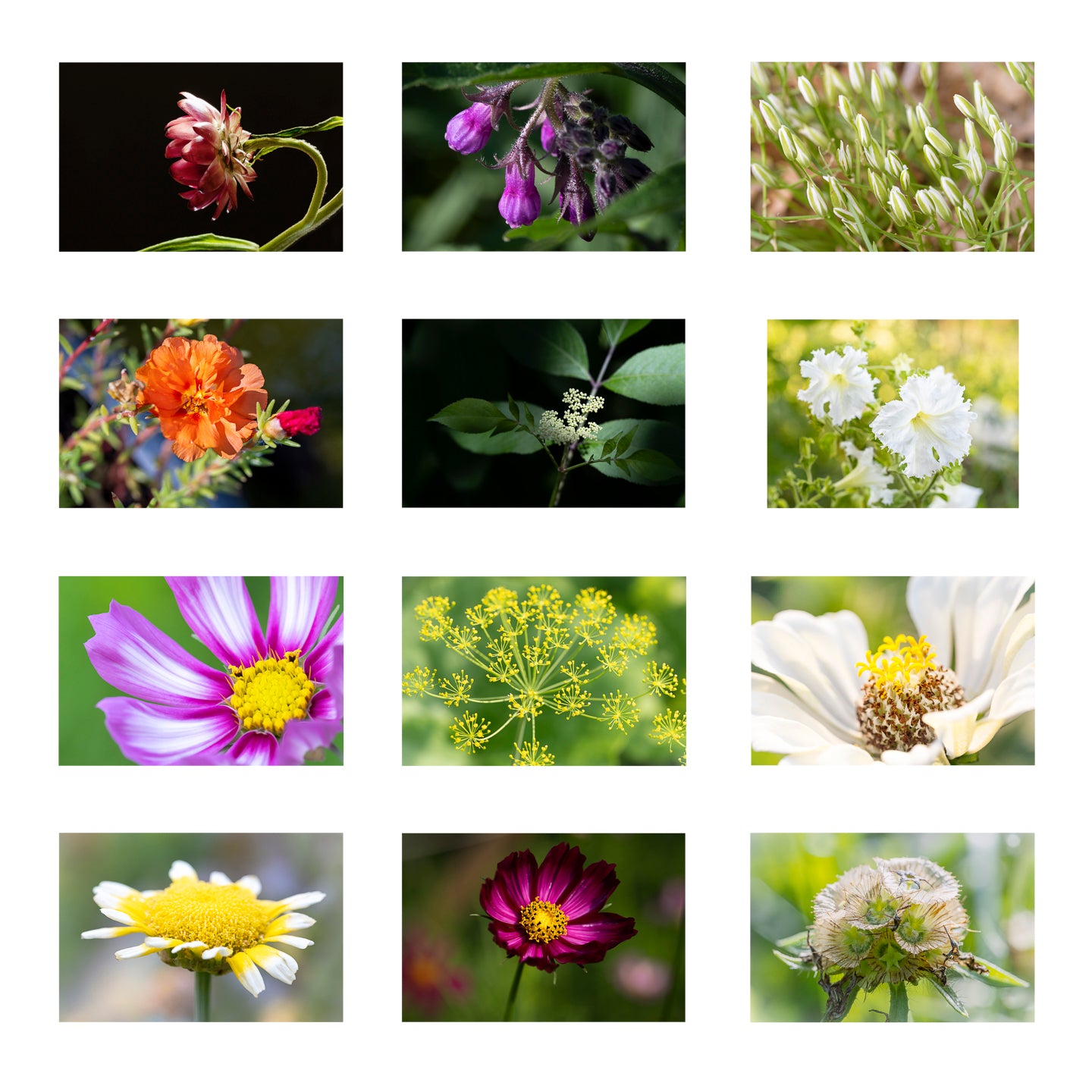 Sunbasking Florals Ledger Wall Calendar 2026 (US & CANADA)