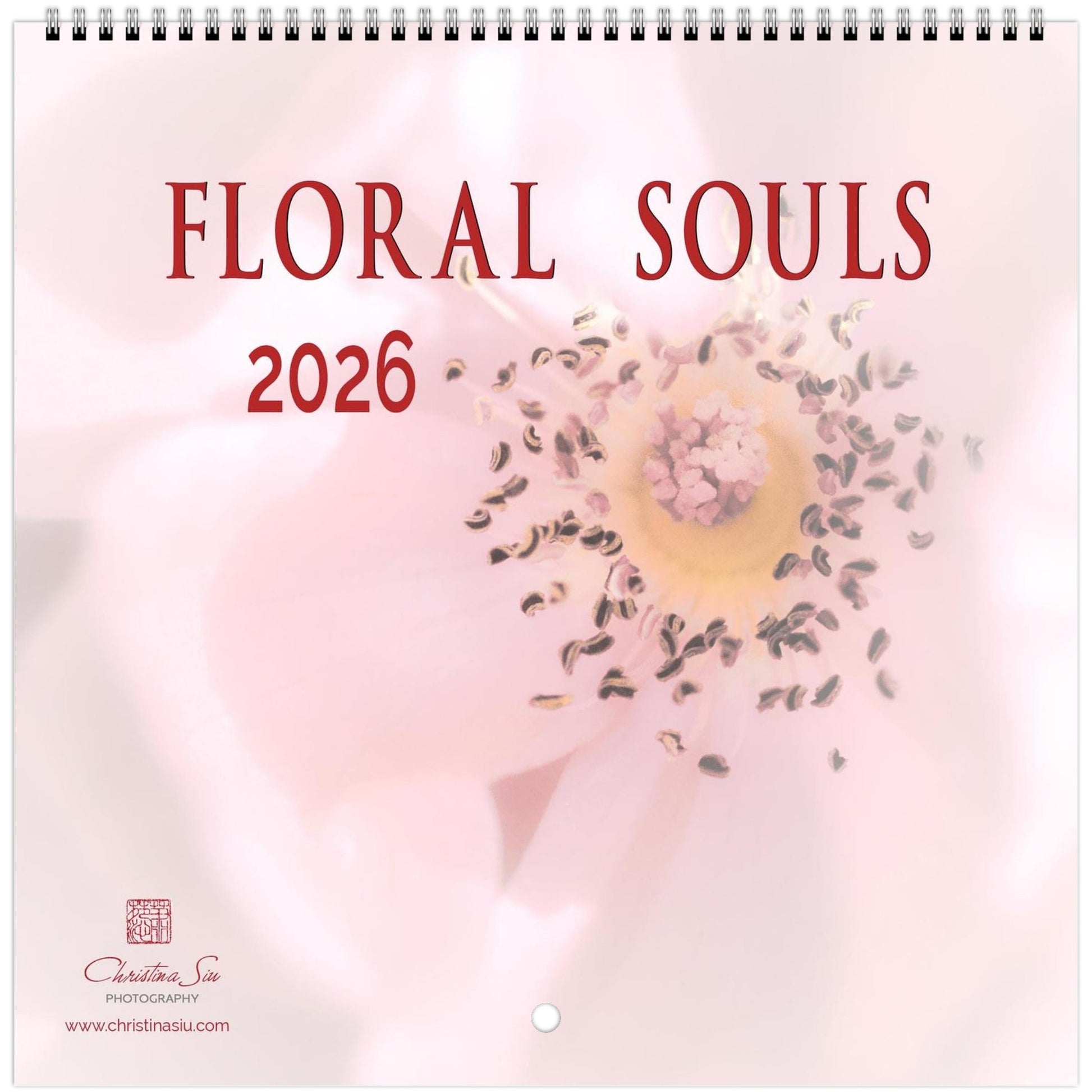 331f0947-2341-474c-b03f-12150bd08a15