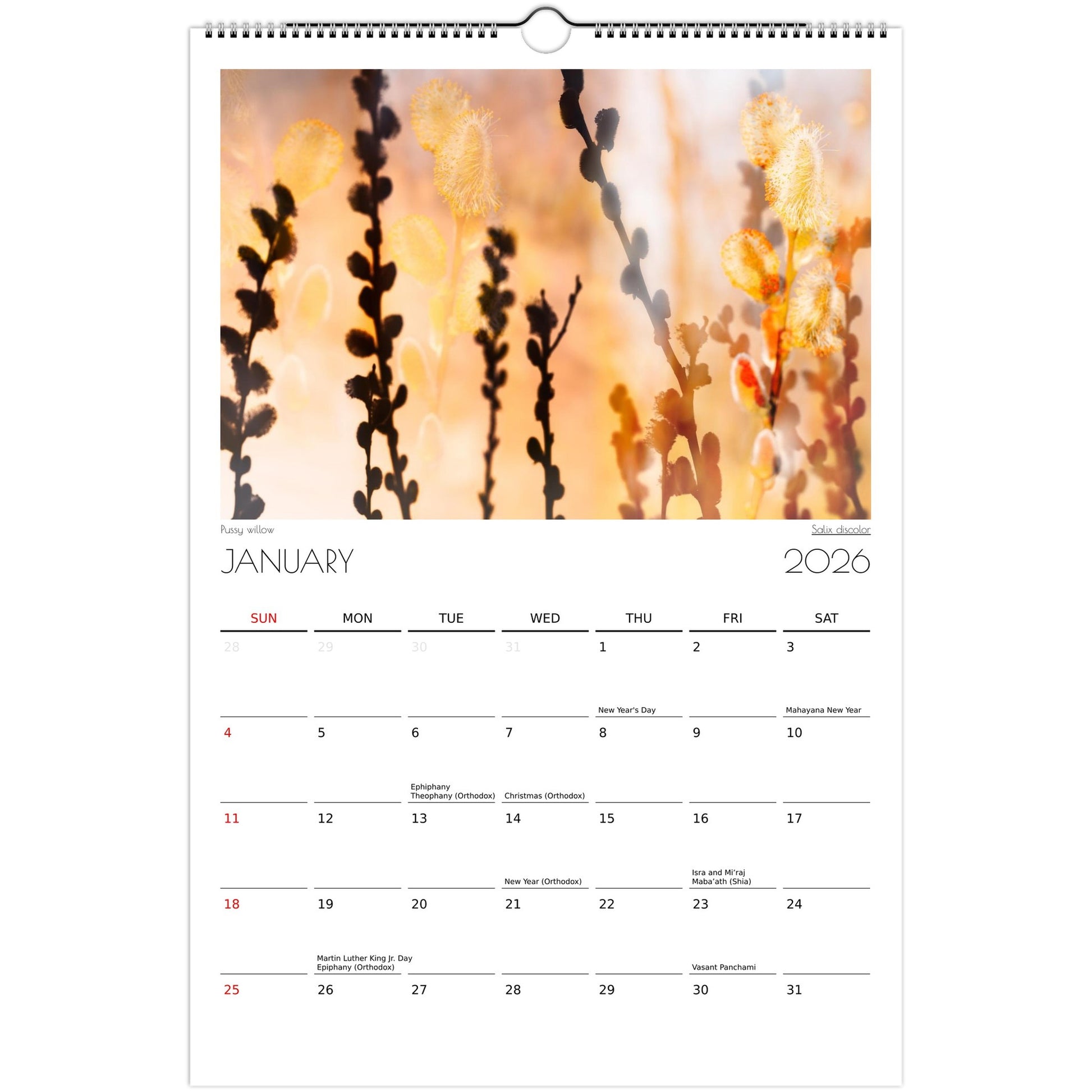 7dd2cc25-ade2-41f3-a205-e083f3fec7f9