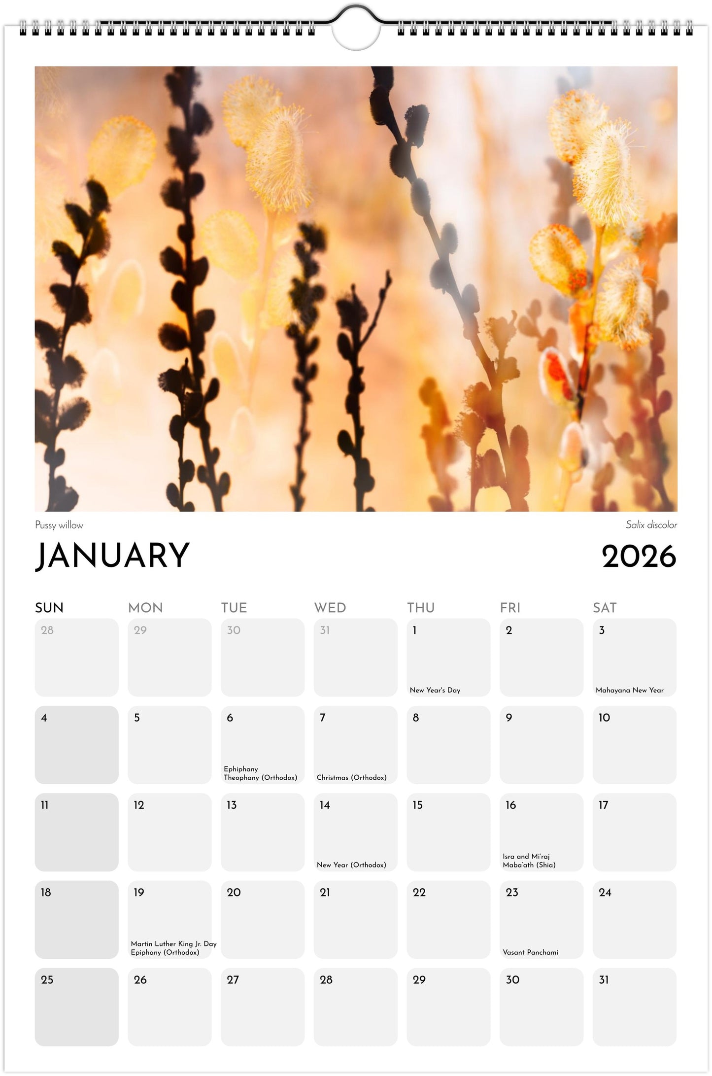 Floral Dreams Wall Ledger Calendar 2026 (US & CANADA)