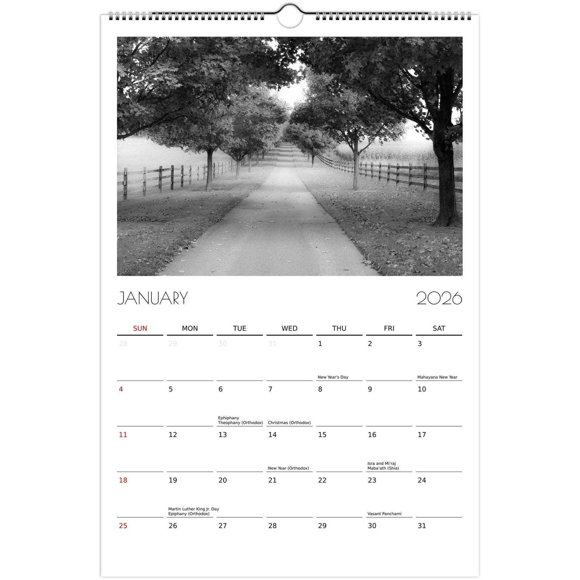 a35a8945-fbbd-4e5c-a38a-62733d52980a