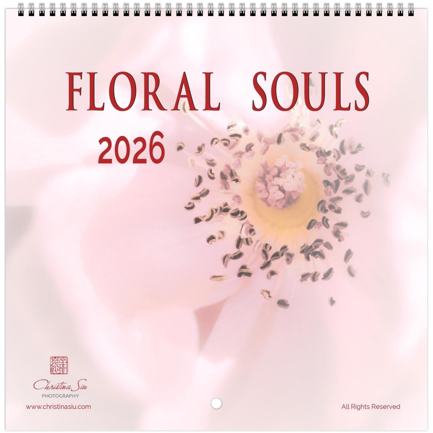 c0e82d09-aa0f-4d8c-9909-12fa358377c9