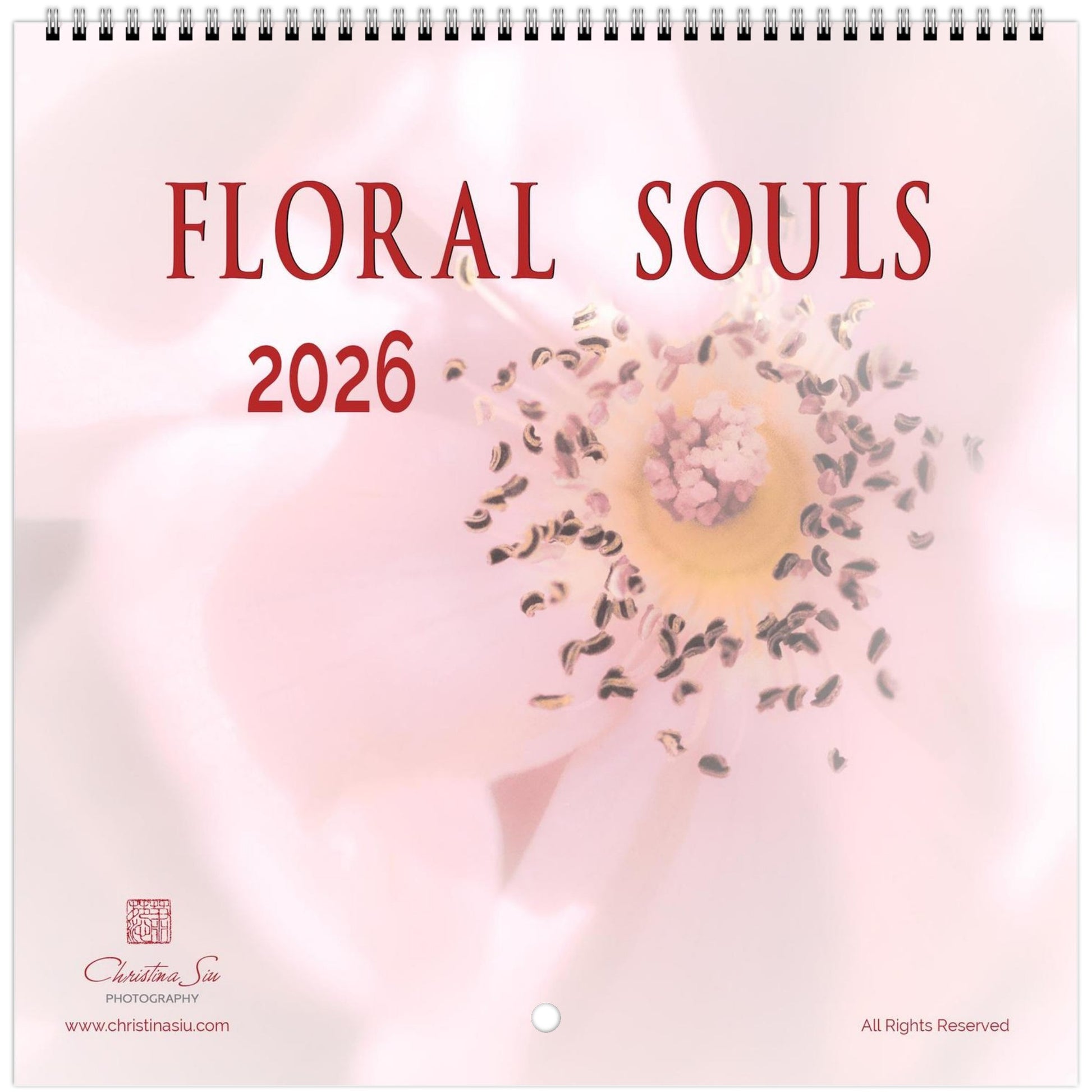 c0e82d09-aa0f-4d8c-9909-12fa358377c9