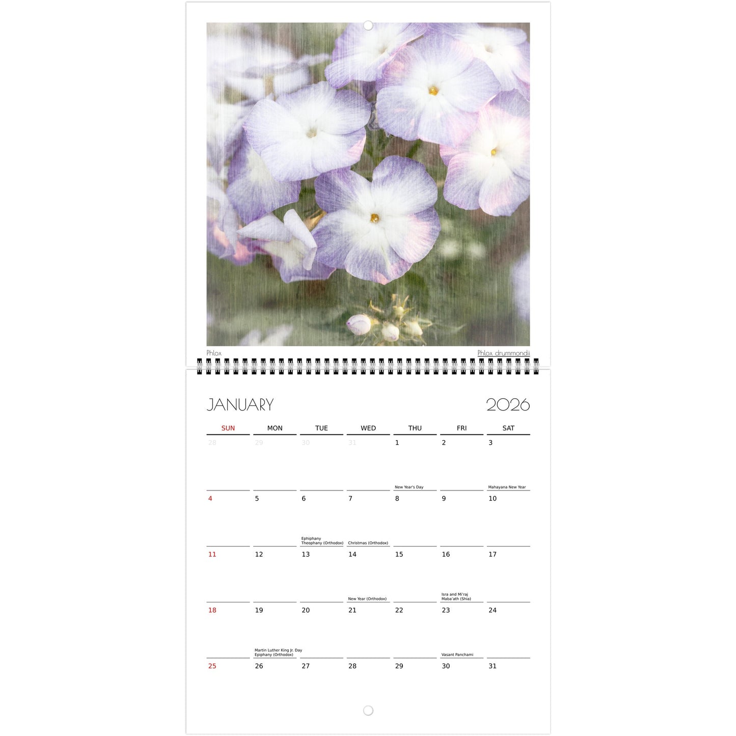 c22542d0-edc7-4209-bded-8702b35aa811