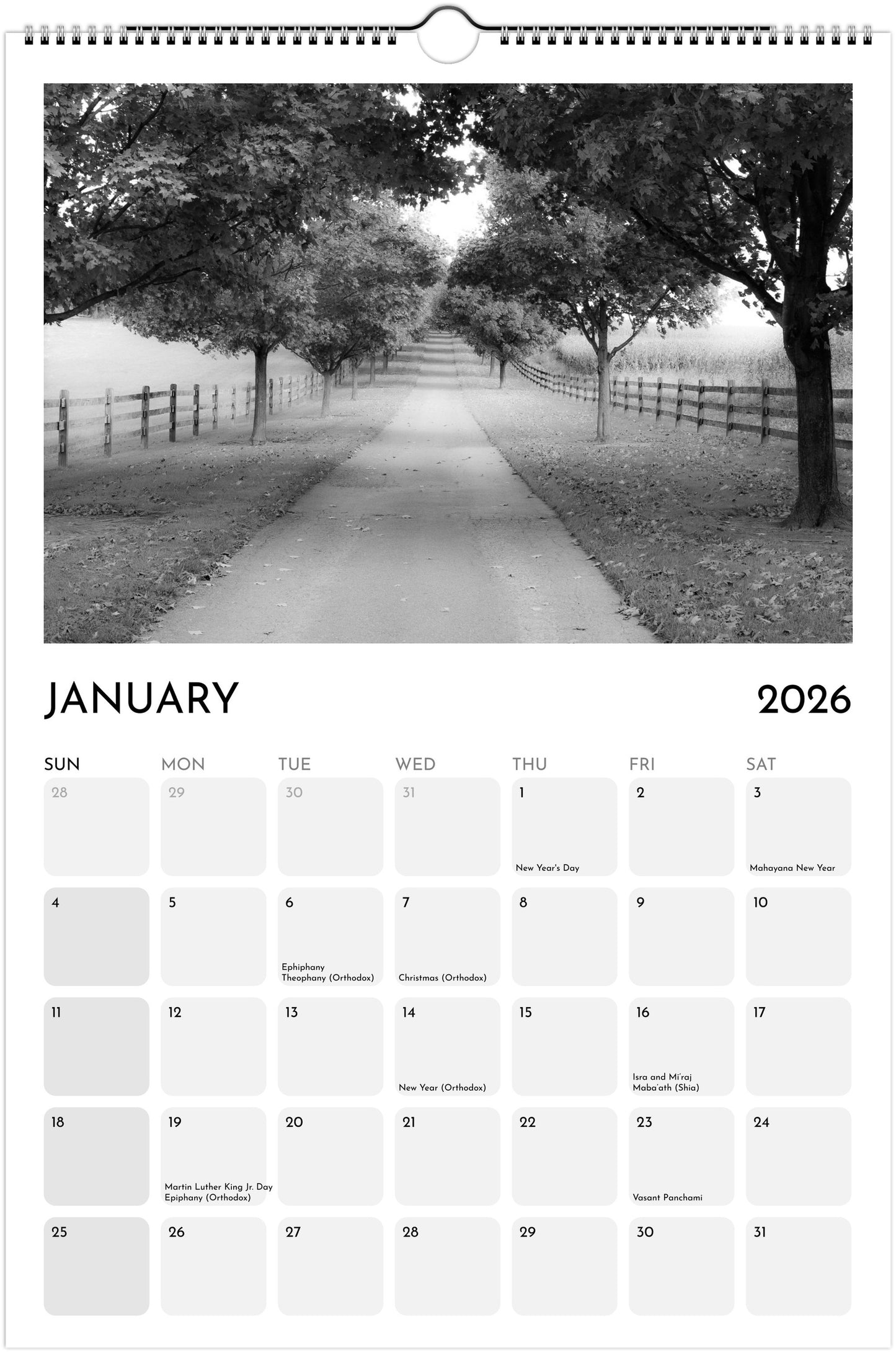 Forest Dreams Ledger Wall Calendar 2026 (US & CANADA)
