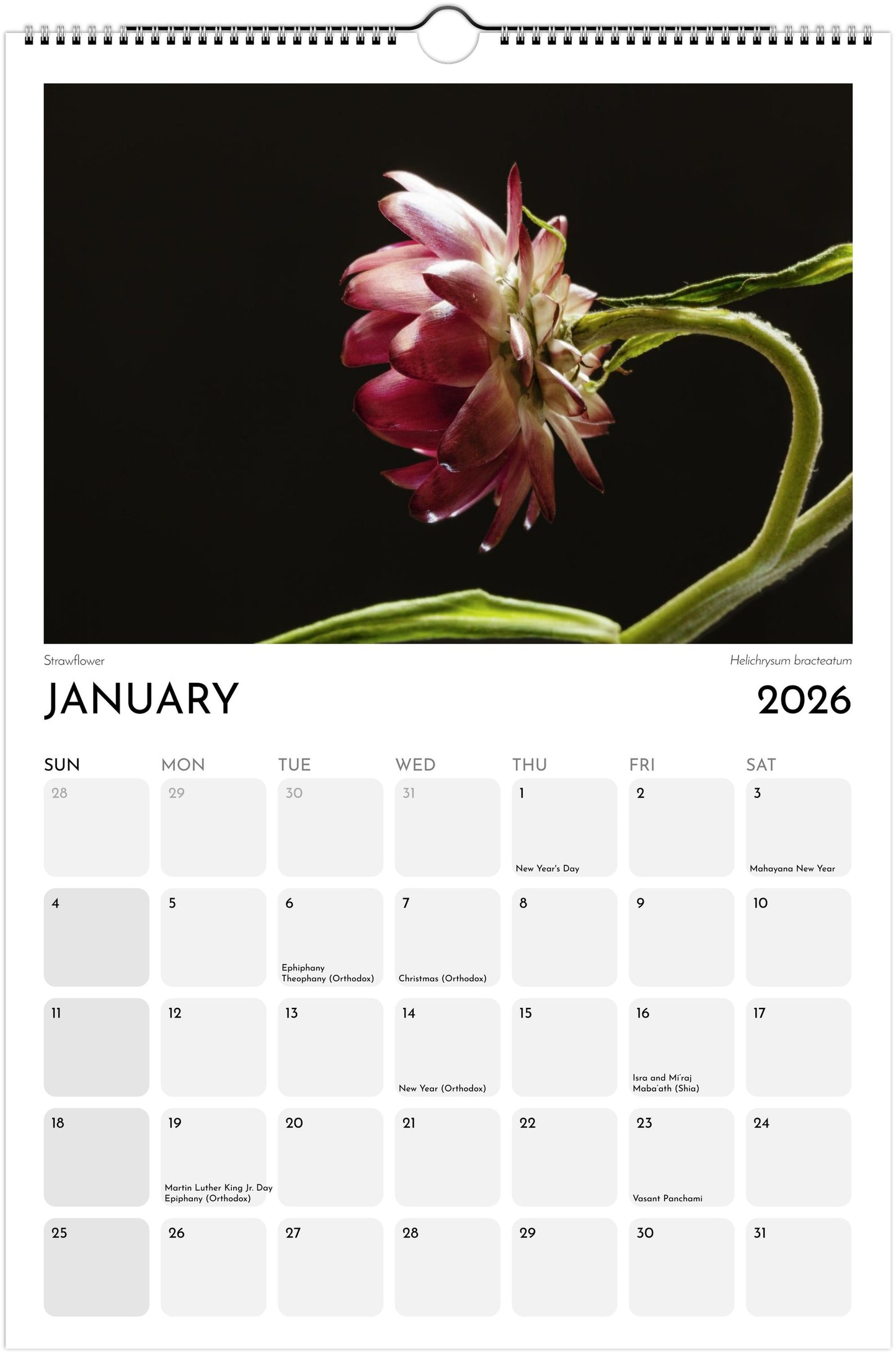 Sunbasking Florals Ledger Wall Calendar 2026 (US & CANADA)