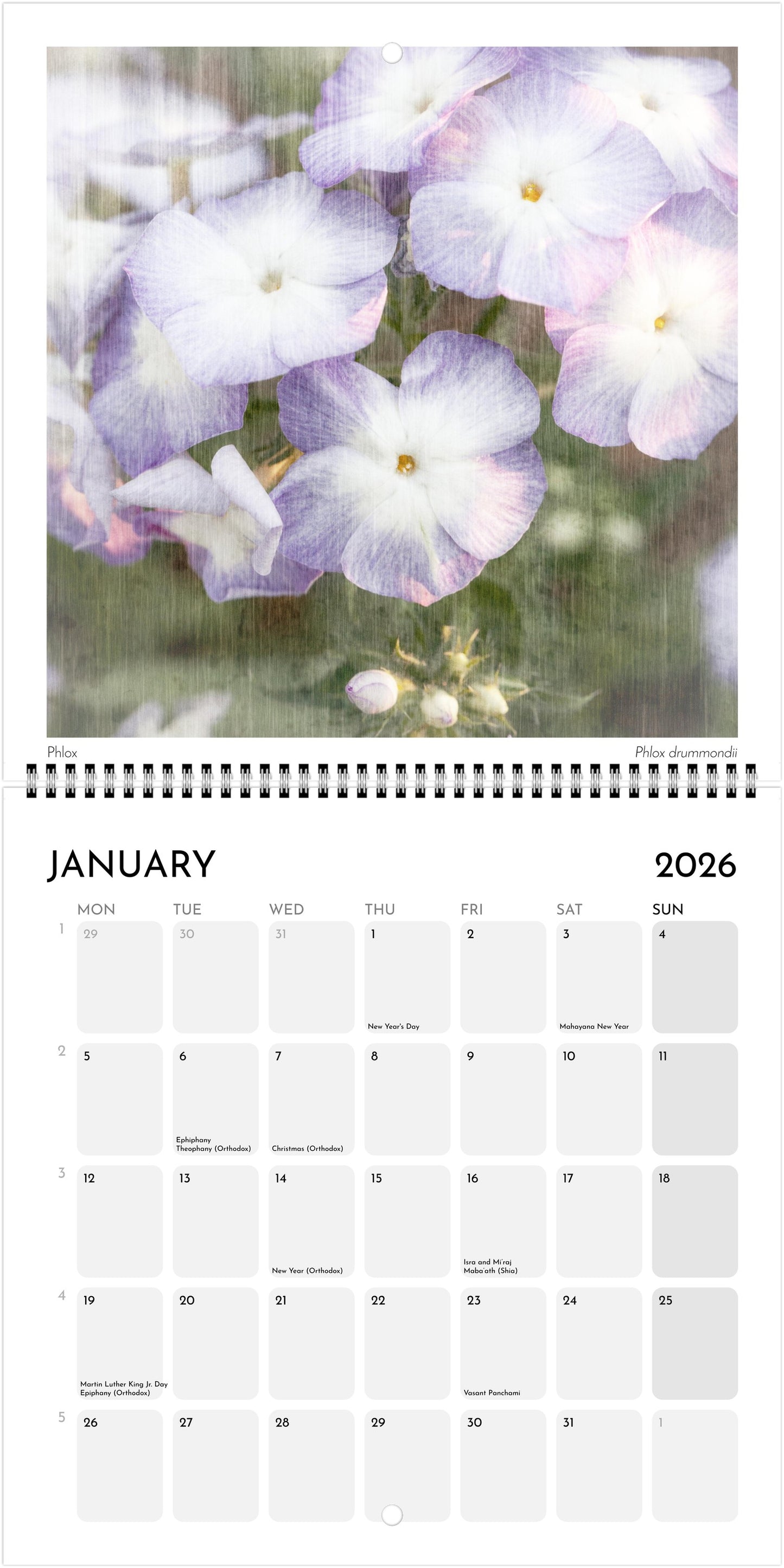 Floral Souls Square Wall Calendar 2026 (US & CANADA)